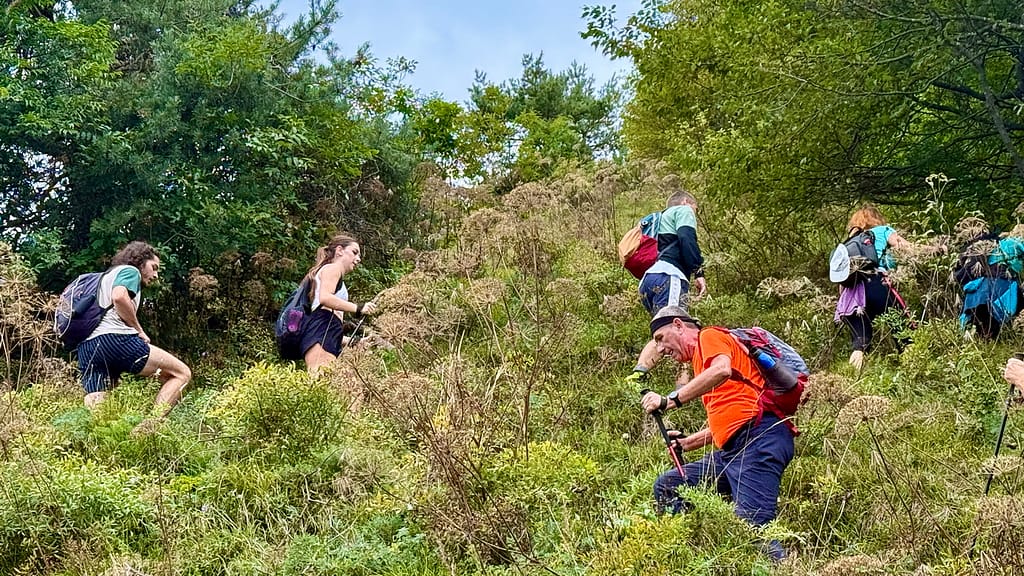 polhograjski_krog_2025_21