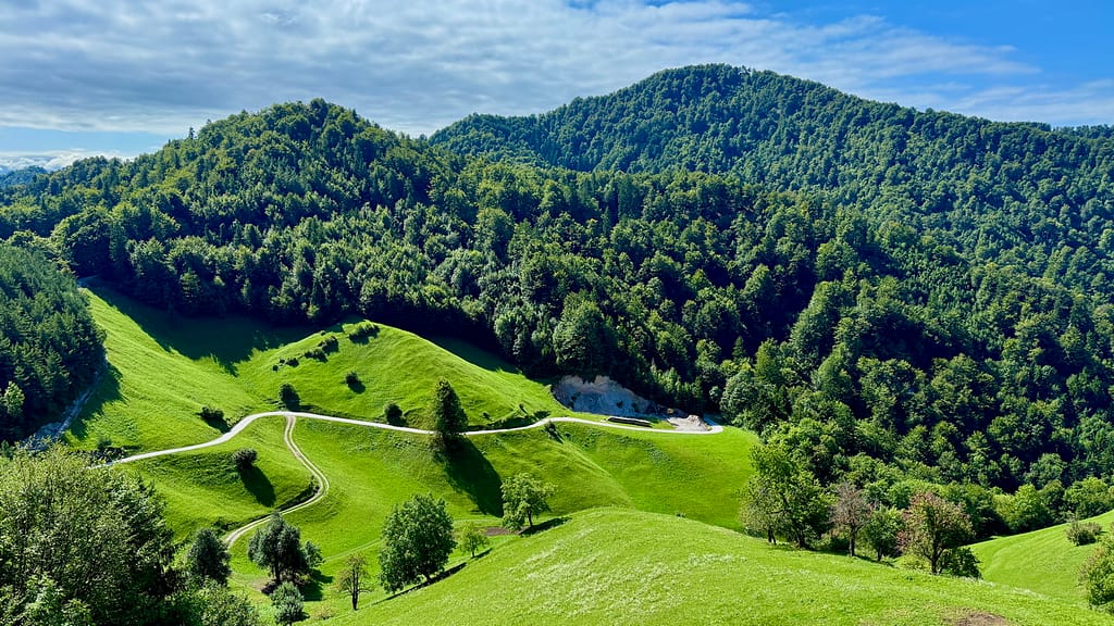 polhograjski_krog_2025_43