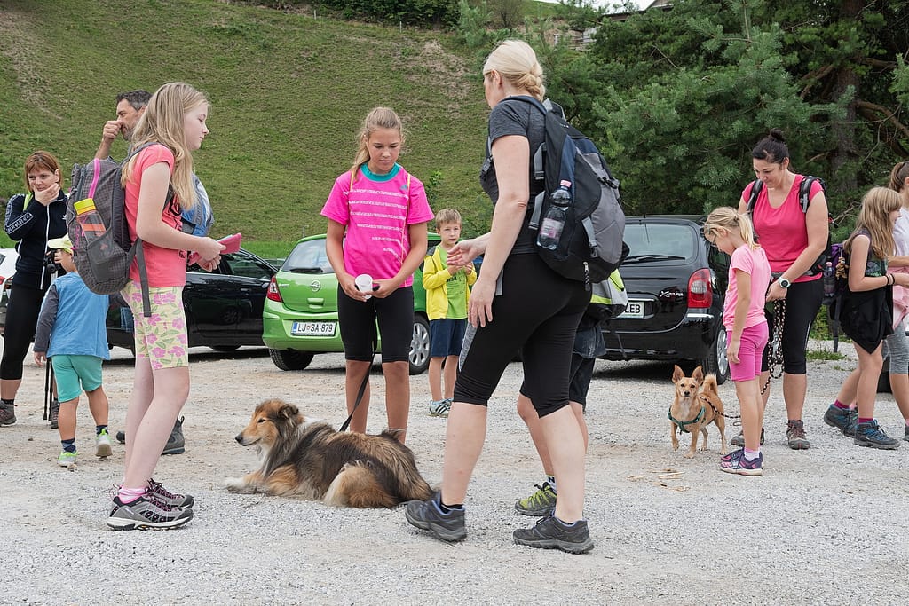 polhograjski_krog_2020_11