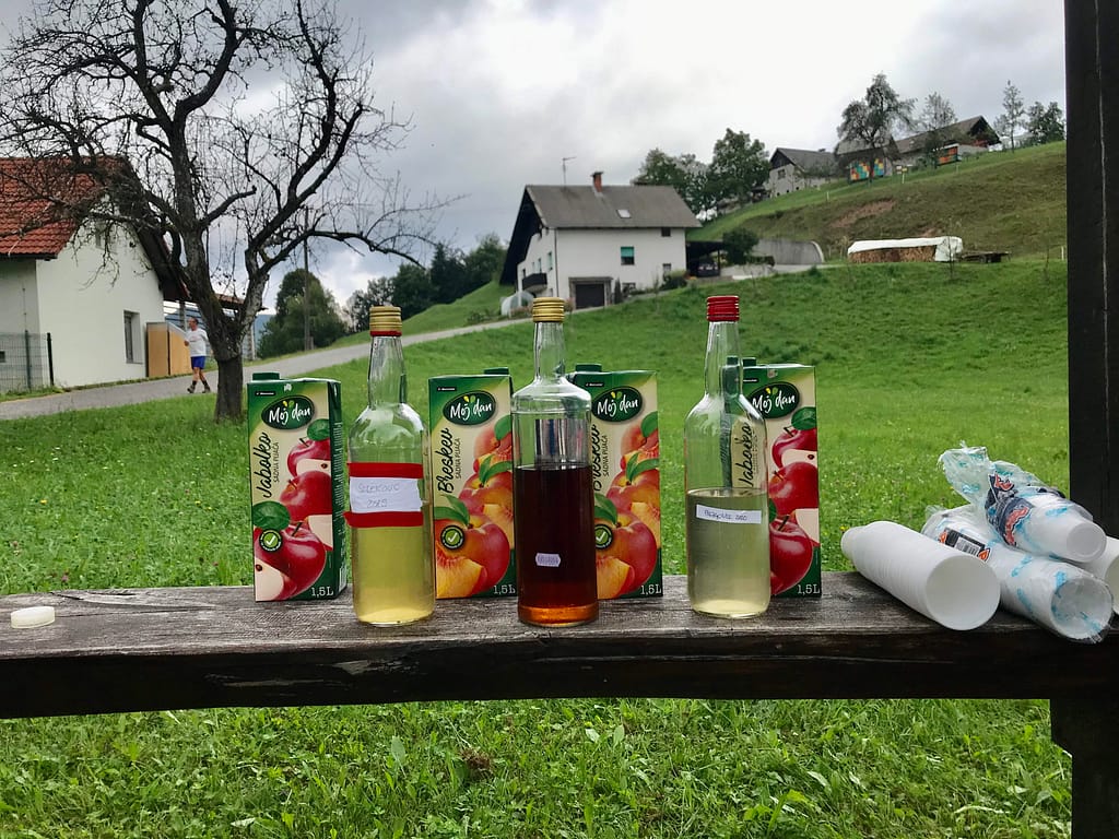 Polhograjski krog - razkuževanje