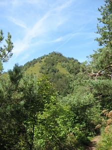 IMG_7321 (600 x 800)