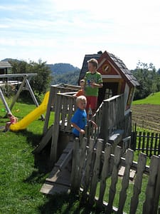 IMG_7333 (600 x 800)