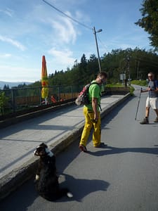 P1080168 (600 x 800)