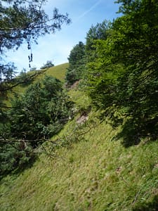 P1080223 (600 x 800)