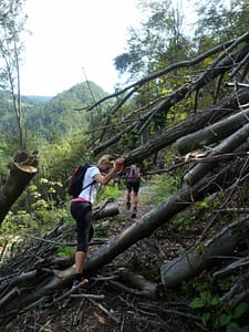 P1080240 (600 x 800)