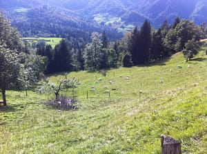 IMG_4114 (800 x 598)