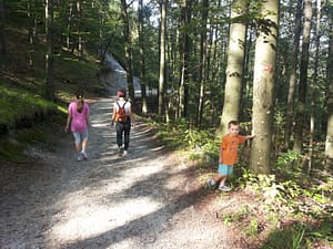 20140830_093140 (800 x 600)