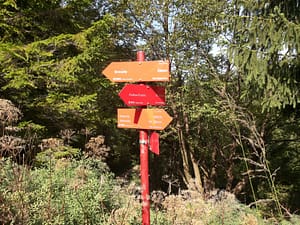 20140830_101554 (800 x 600)