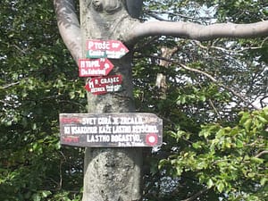 20140830_103024 (800 x 600)