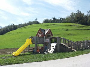 20140830_113854 (800 x 600)