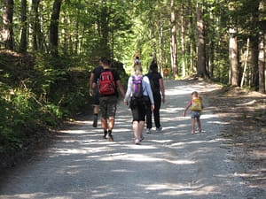 IMG_7311 (800 x 600)