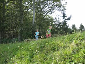 IMG_7368 (800 x 600)