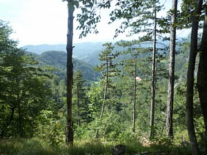 P1080215 (800 x 600)