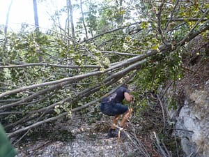 P1080242 (800 x 600)