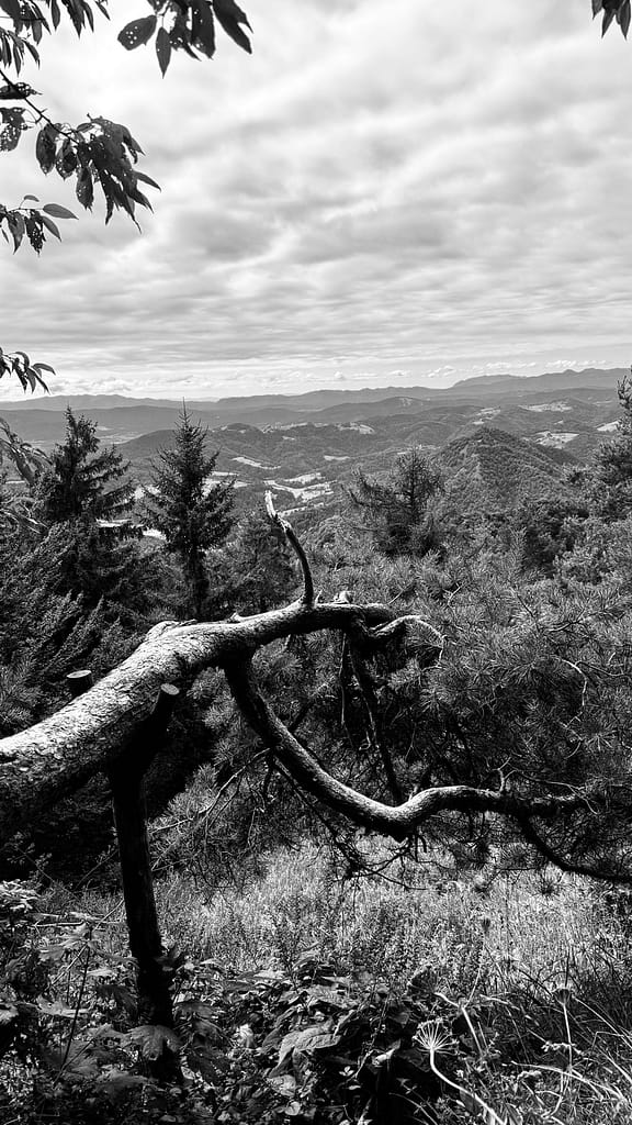 polhograjski_krog_2025_41