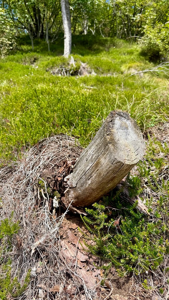 polhograjski_krog_2025_42