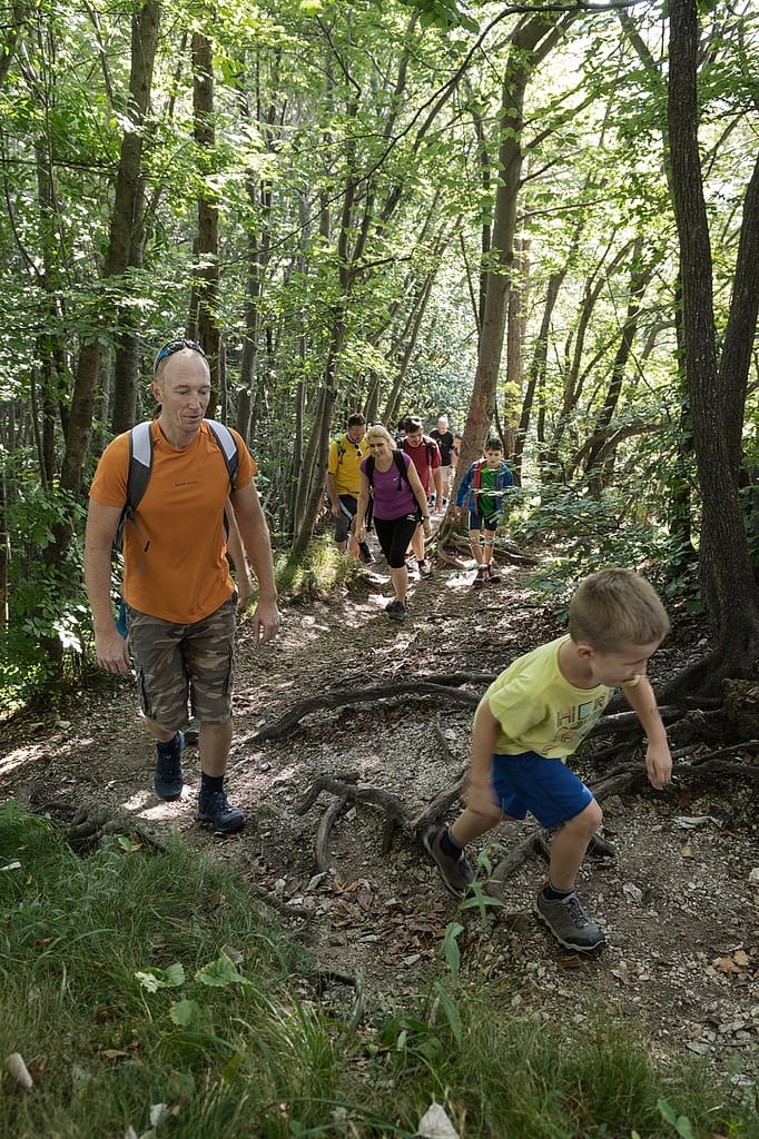 polhograjski_krog_10