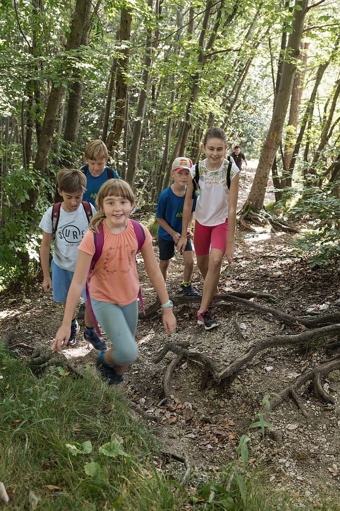 polhograjski_krog_13